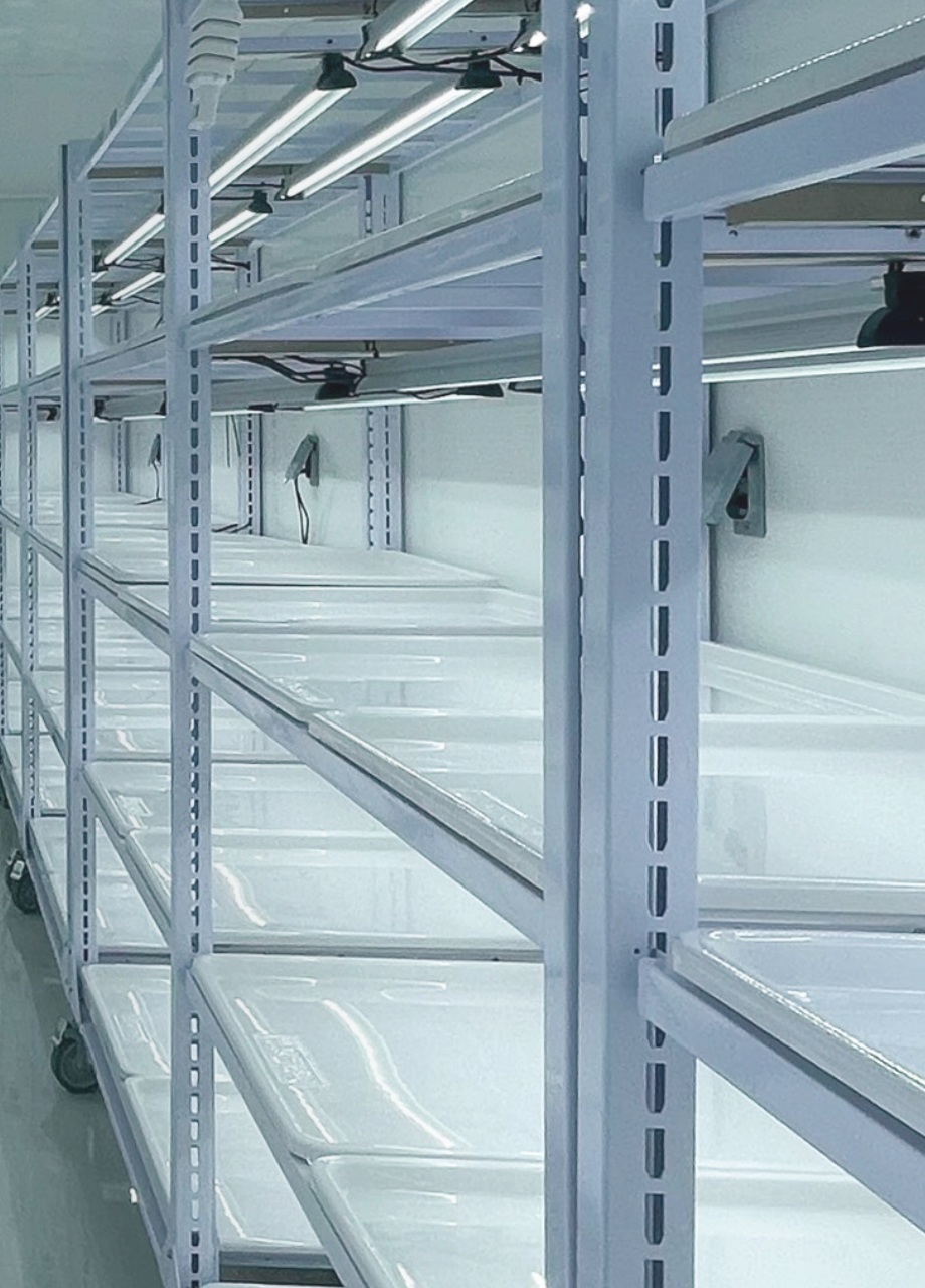 Ferme-conteneur microgreens